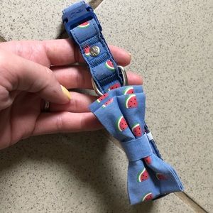 Medium Watermelon Dog Collar with Bow